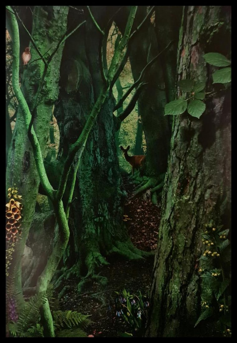 Ruud Van Empel, Study In Green#1, 2003 (1 of 1)