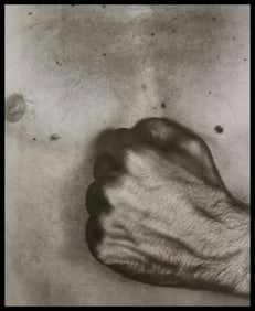 George Platt Lynes, Male chest, 1953