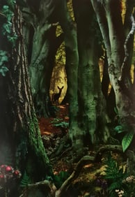 Ruud Van Empel, Study In Green#8, 2003