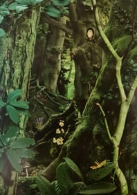 Ruud Van Empel, Study In Green#10, 2003