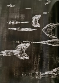 Sebastiao Salgado, Caimans, Brazil, 2011