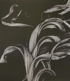 Brett Weston, Branches, Hilo 1991