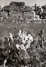 Manuel Alvarez Bravo, Thorns, 1940s