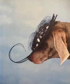William Wegman, Migratory, 1999