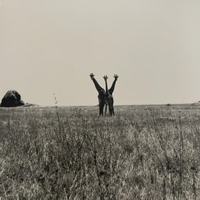 Patrick Demarchelier, Giraffes, Tanzania, 1993
