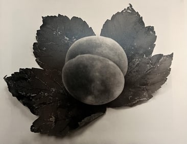 Man Ray, Untitled, 1931 - 3