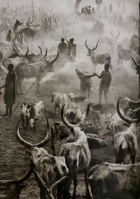 Sebastiao Salgado, Cattle camp of Amak, Southern Sudan, 2006