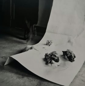 Francesca Woodman, Spring in Providence # 4, Providence, Rhode Island, 1976