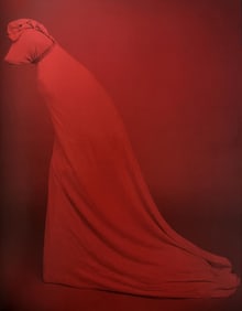 William Wegman, True Red