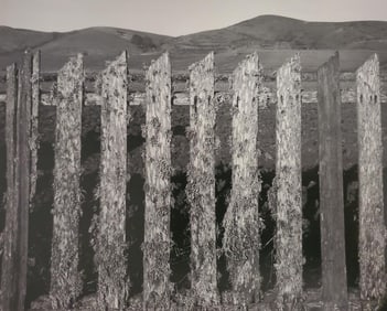 Ansel Adams, Fence Near Tomales Bay, California, 1936