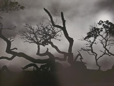 Brett Weston, Hawaii 1986