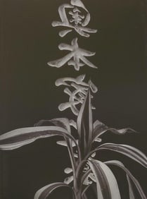 Brett Weston, Headstone 1989