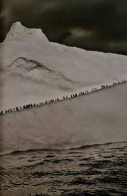Sebastiao Salgado, Chinstrap penguins on an iceberg, South Sandwich Islands, South Georgia, 2009