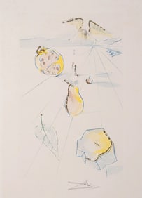 Salvador Dali "Garden Nuts Fruit" from Song of Songs 1972