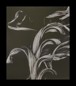 Brett Weston, Branches, Hilo 1991