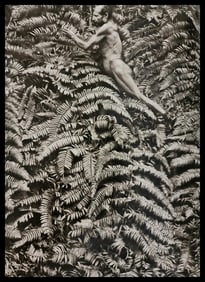 Sebastiao Salgado, Yali man collecting food, West Papua, Indonesia, 2010