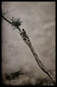 Sebastiao Salgado, Yali man, West Papua, Indonesia, 2010