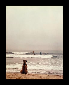 Michael Dweck, Beach Dog, Ditch Plains