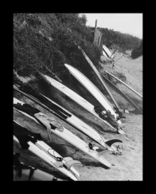 Michael Dweck, Boards, Ditch Plains