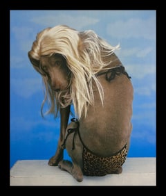 William Wegman, Blue Powder, 1994