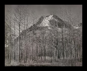 Ansel Adams, Aspens and Mountain, Autumn, Colorado, 1937