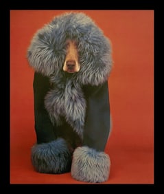 William Wegman, Body Art, 1999
