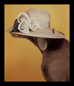 William Wegman, Cereminial Headwear, 1999