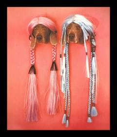 William Wegman, Cockleshell, 1994