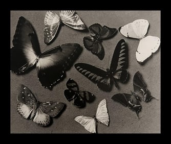 Man Ray, Butterflies (Original In Color), 1930-1935