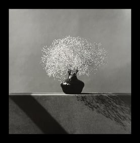 Robert Mapplethorpe, Baby's Breath, 1982