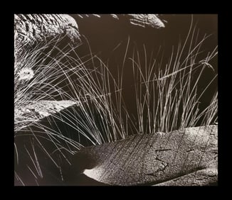 Brett Weston, Grass and Lava 1987