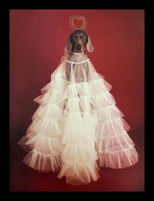 William Wegman, Captured Your Heart