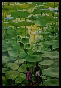 Ruud Van Empel, Boy & Girl, 2008
