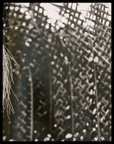 Zanele Muholi, Bhekani II, Mayotte, 2016