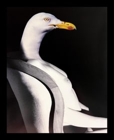 Maurice Renoma, Unntitled, 2006 - 1