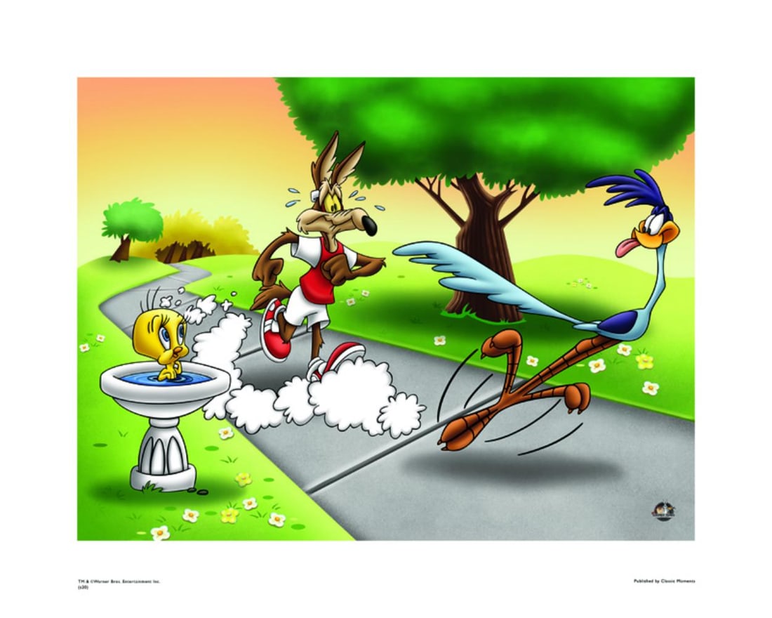 Warner Bros, Looney Tunes, Wile E. Coyote & The Road Runner, "The Race" (1 of 1)