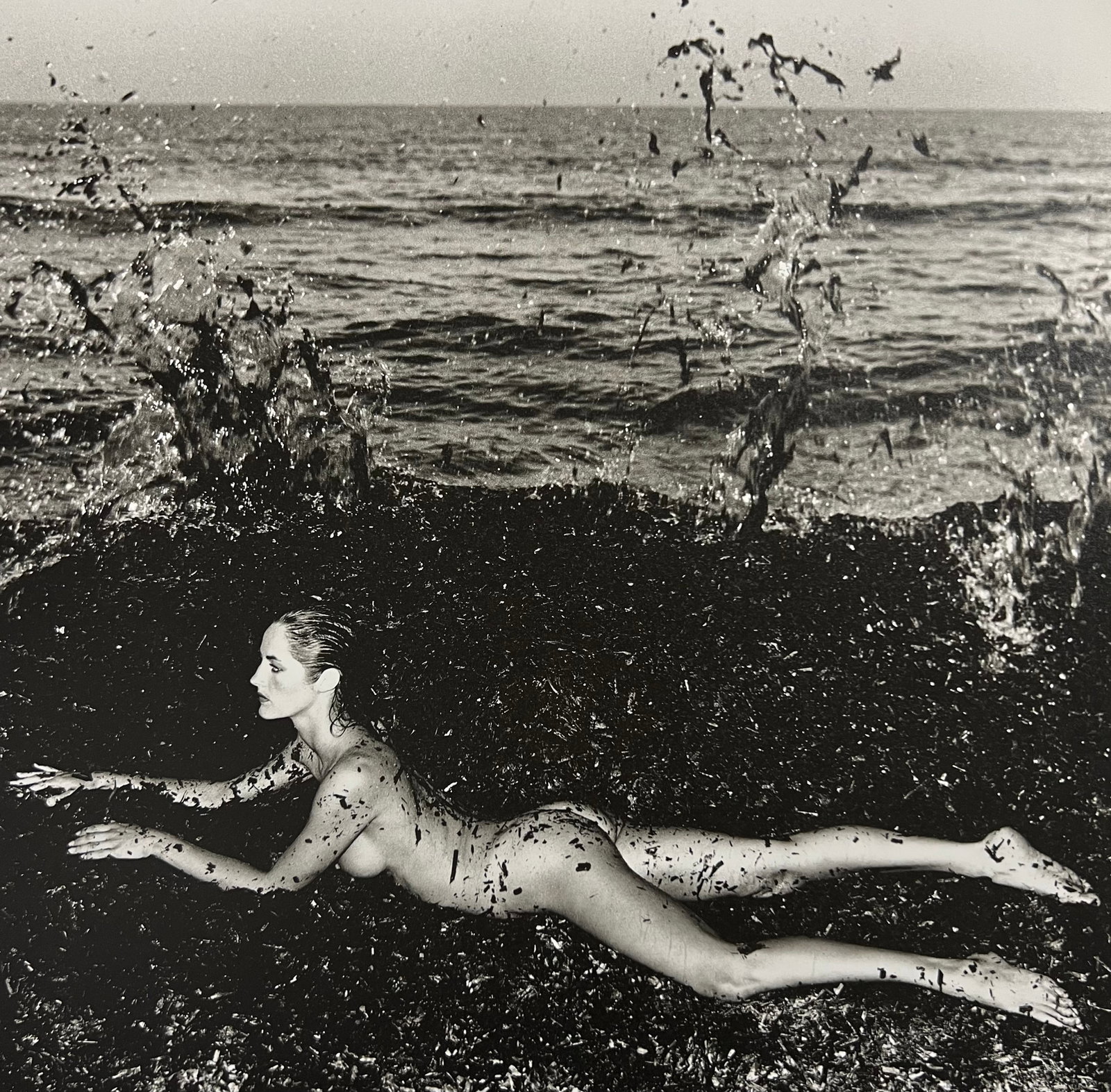 Helmut Newton, Nude In Seaweed, Saint-Tropez, 1981: Photographer: Helmut Newton (Germany, 1920 - 2004) - best known for his erotically charged highly stylized images, Helmut Newton was one of the most influential fashion photographers of all time. Titl