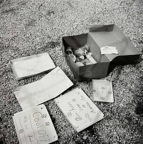 Vivian Maier, Chicagoland, 1965