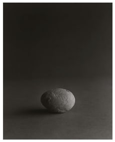 Hiroshi Sugimoto, PPTRO-020, 2008