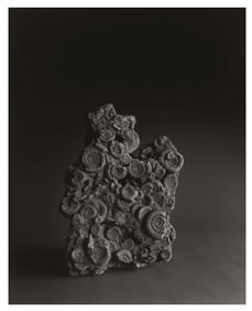 Hiroshi Sugimoto, PPTRO-028, 2008