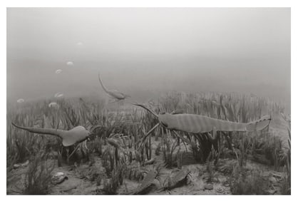 Hiroshi Sugimoto, Silurian Period, 1992