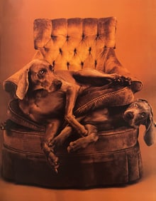 William Wegman, Time To Rest