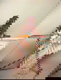 William Wegman, Time To Iron The Clothes