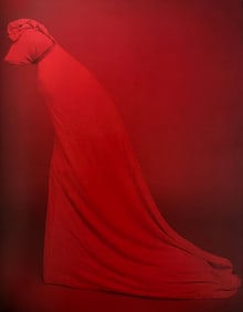 William Wegman, True Red