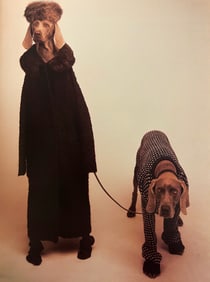 William Wegman, Untitled