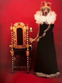 William Wegman, Untitled - Royalty