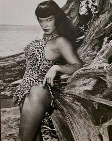 Eric Kroll, Cheetah print, 1990's