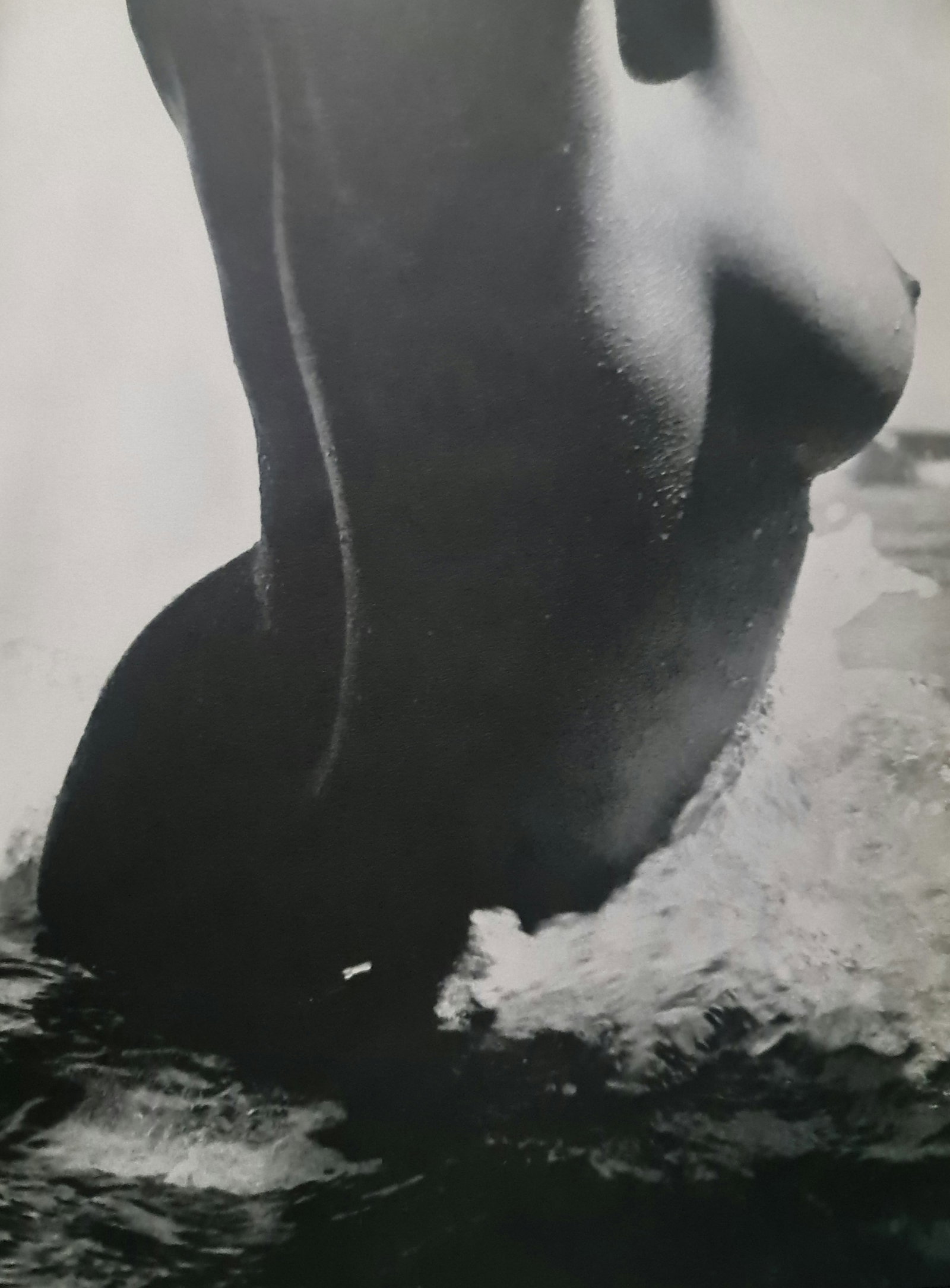 Lucien Clergue, Side Angle Breast shot, 1960's: Photographer: Lucien Clergue (France, 1934 - 2014) - renowned French photographer with a diverse body of work, he is perhaps best known for his dynamic female nude studies in and around water which of