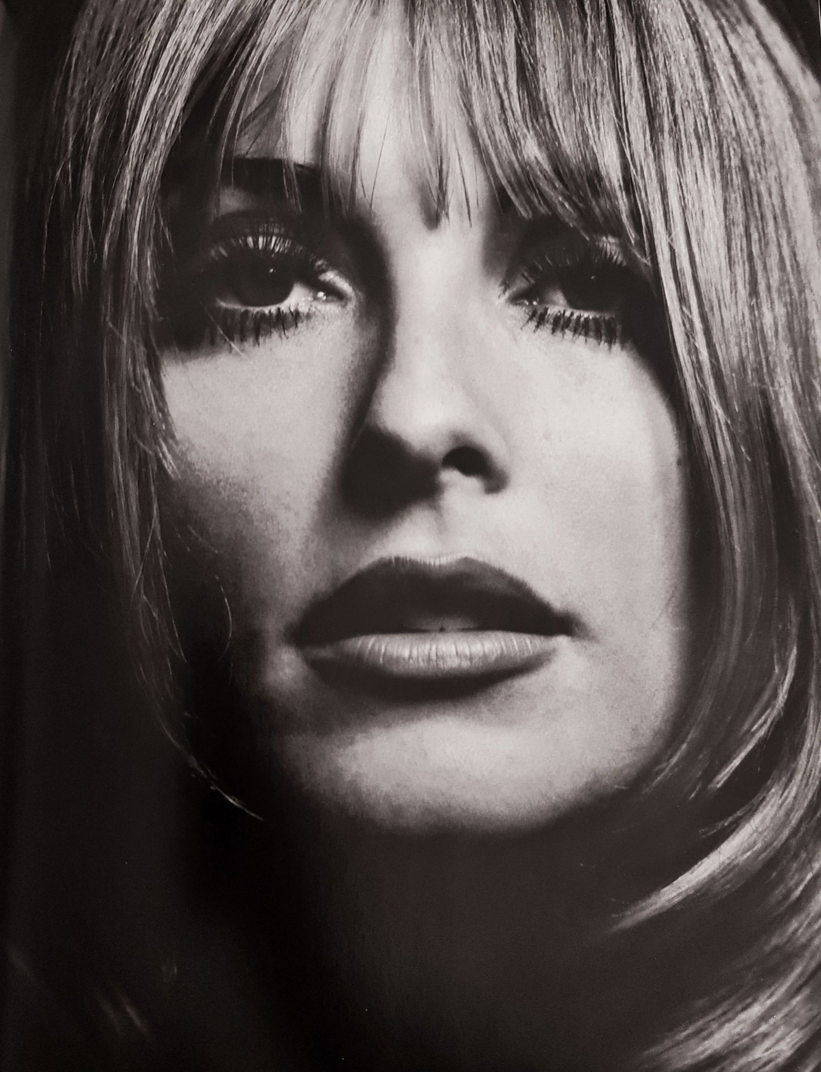 Phillipe Halsman, Sharon Tate, 1966 (1 of 1)