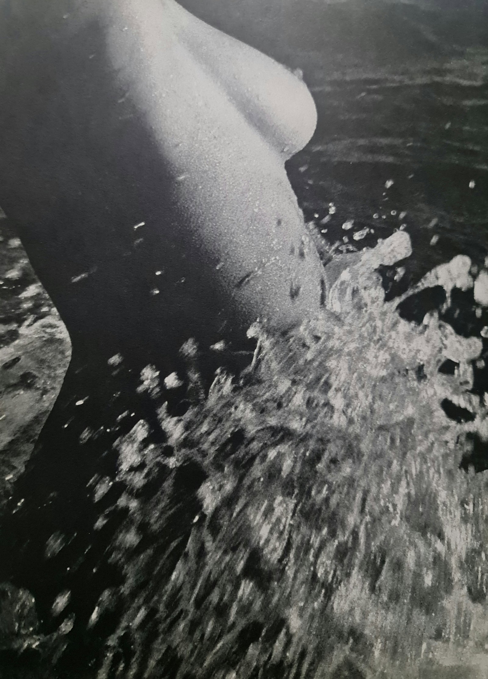 Lucien Clergue, Splashing Side Nude, 1960's: Photographer: Lucien Clergue (France, 1934 - 2014) - renowned French photographer with a diverse body of work, he is perhaps best known for his dynamic female nude studies in and around water which of